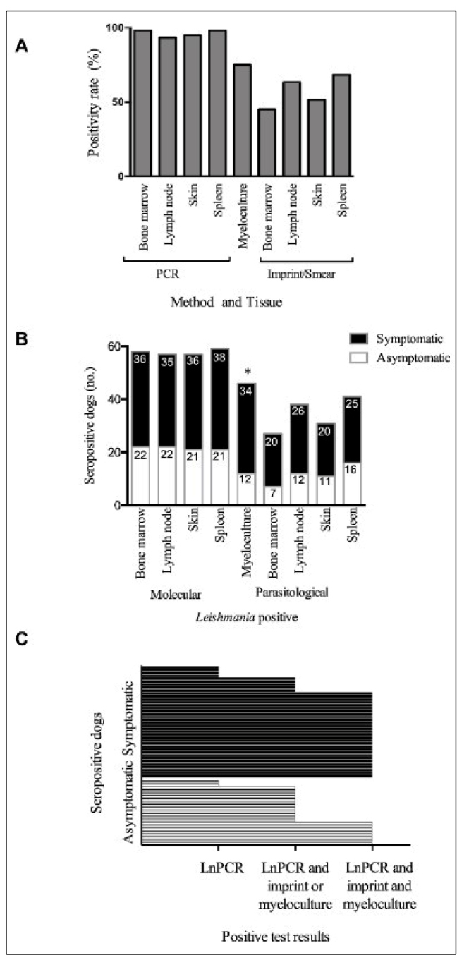 FIGURE 1: