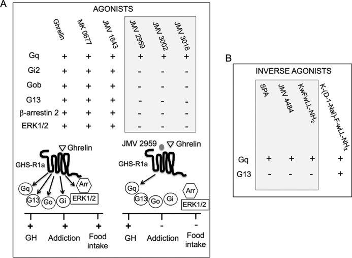 FIGURE 11.