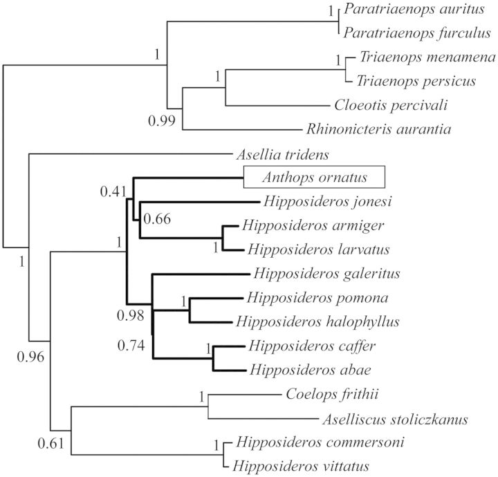 Fig. 3.