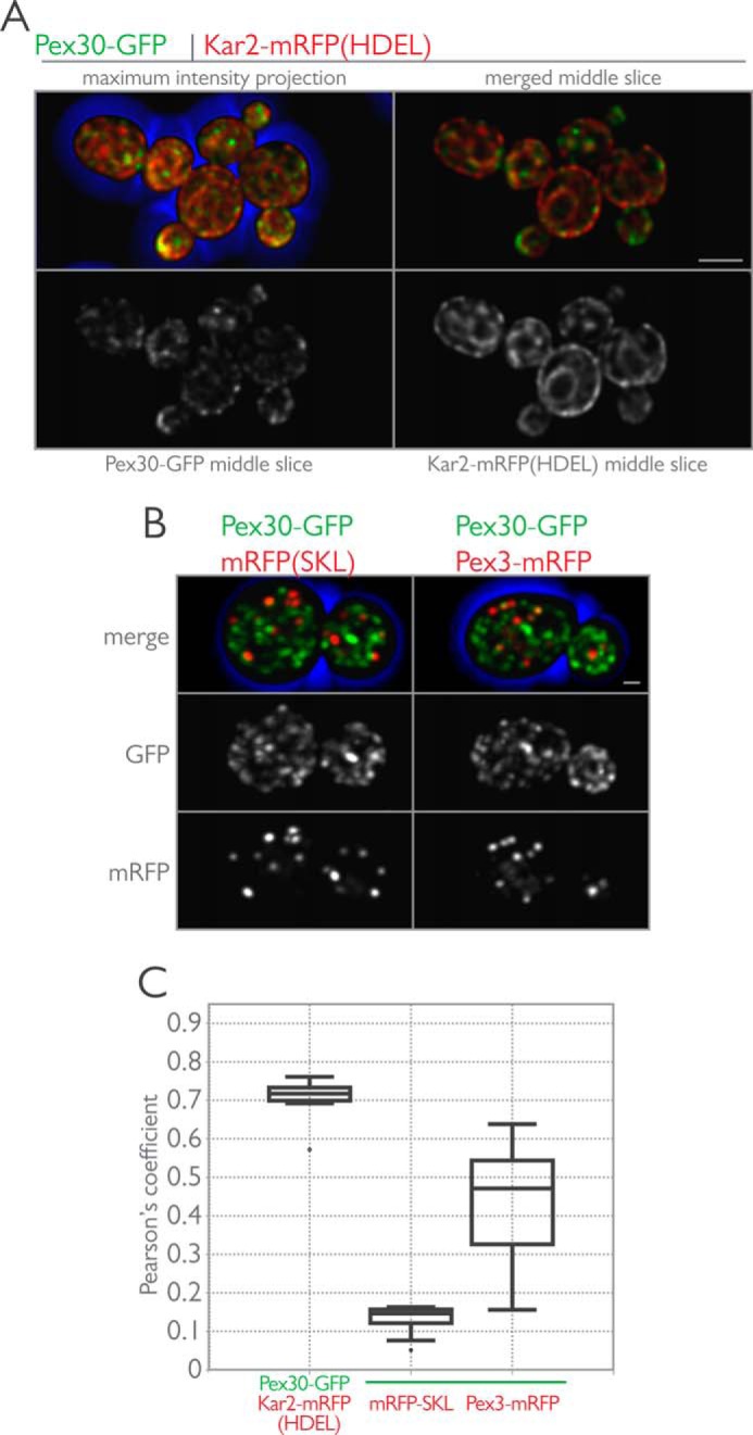 FIGURE 3.