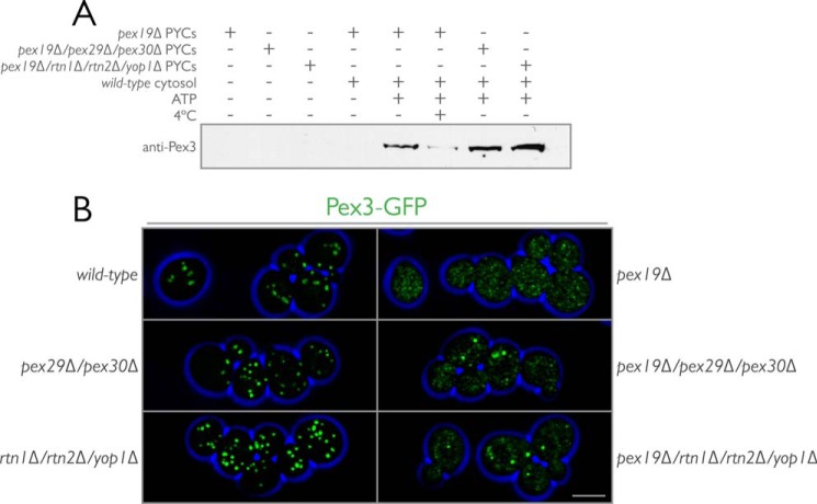 FIGURE 10.