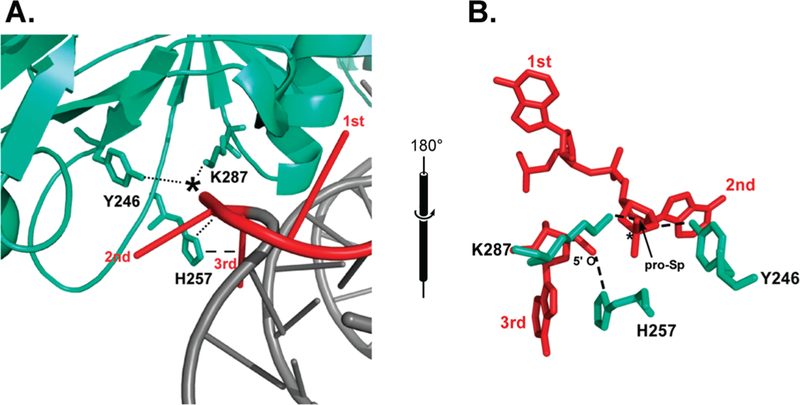 Figure 1: