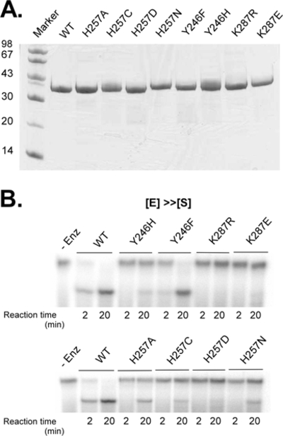 Figure 2: