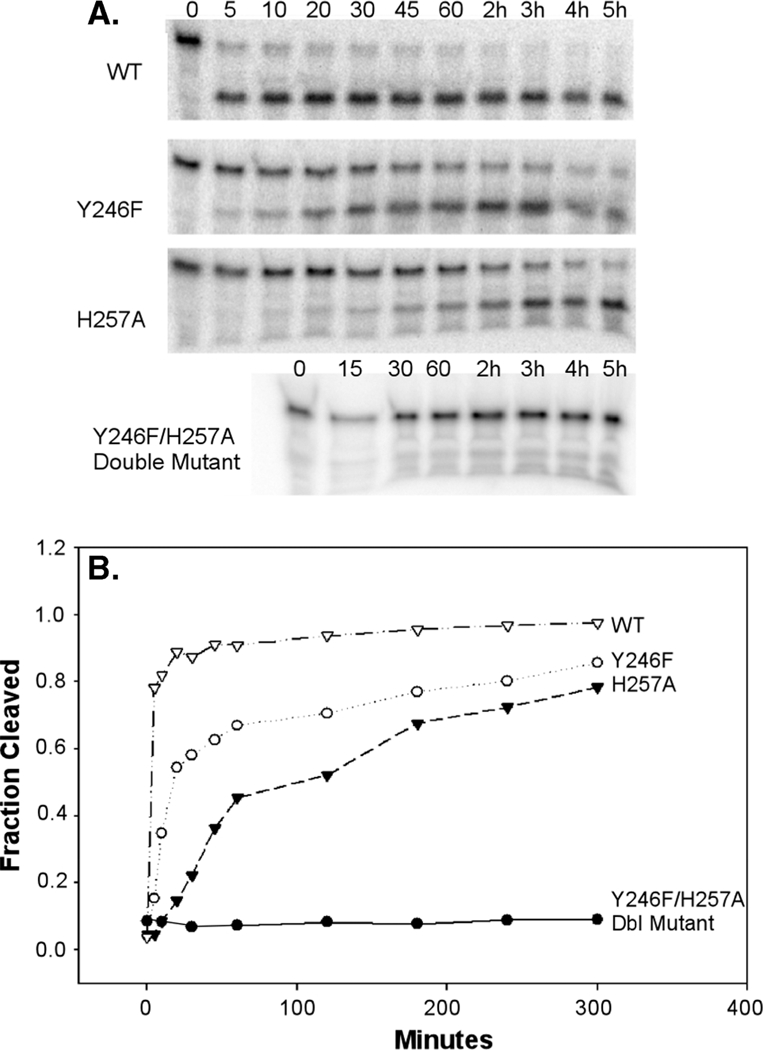 Figure 4: