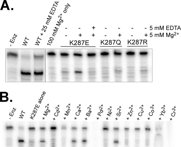 Figure 5: