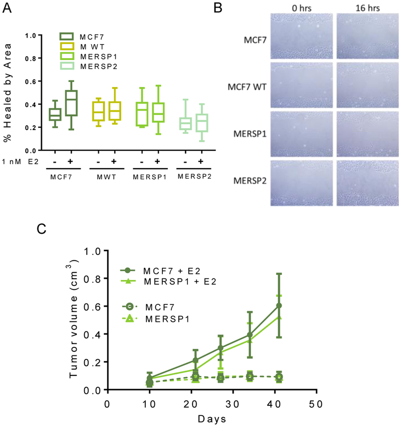 Figure 5: