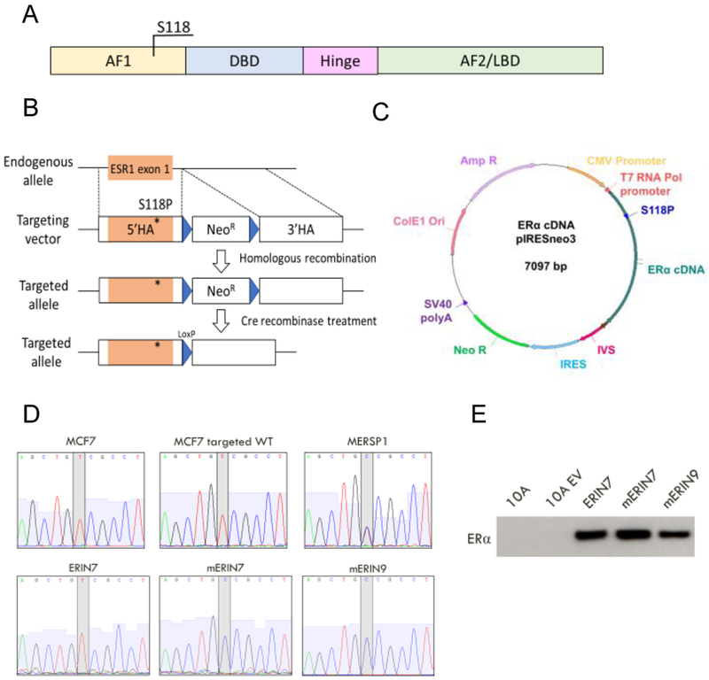 Figure 1: