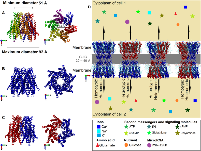 Fig. 3