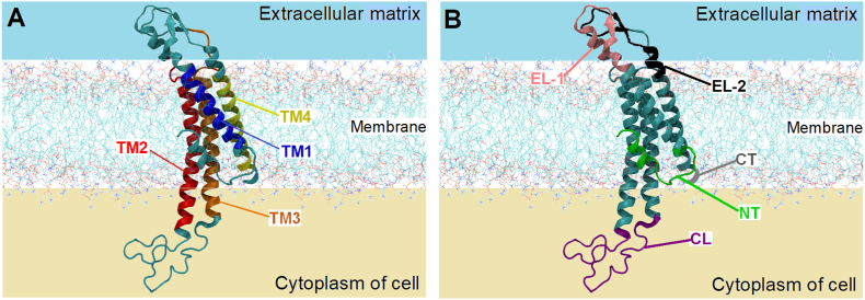 Fig. 2