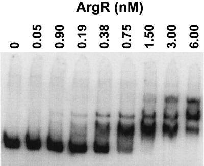 FIG. 9.