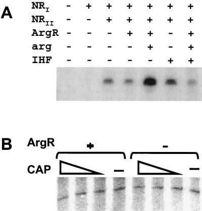 FIG. 10.