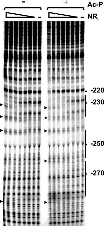 FIG. 7.