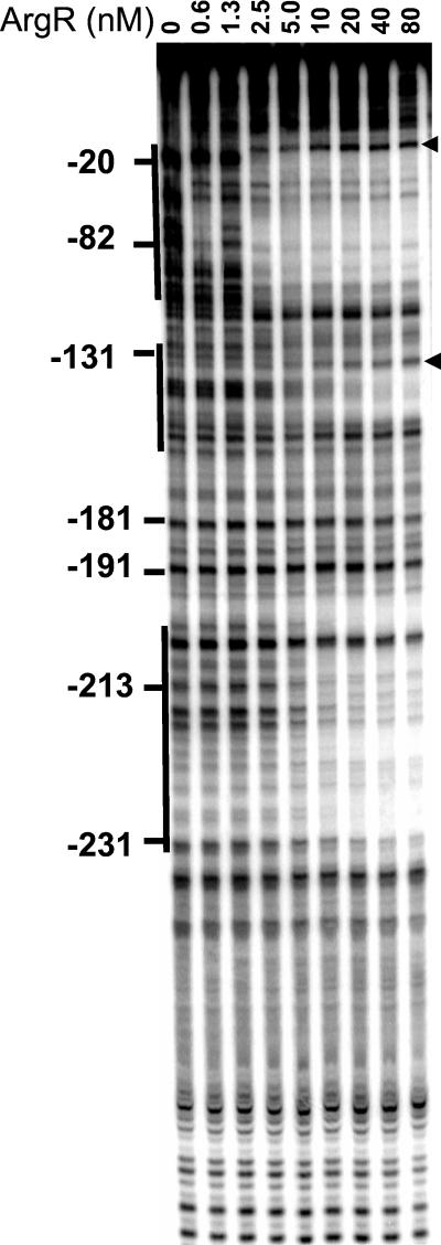 FIG. 8.