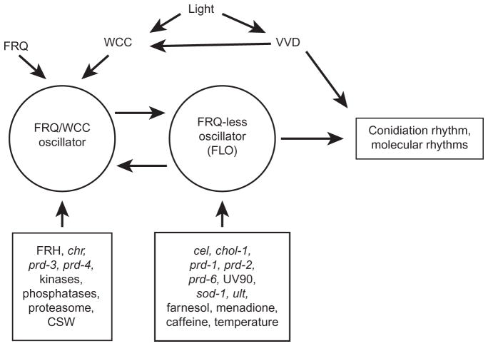Figure 3.2