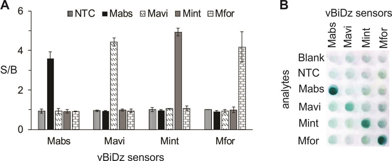 Fig 6: