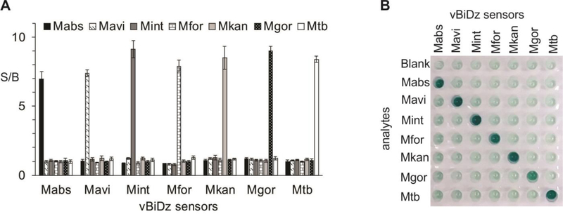 Fig 5: