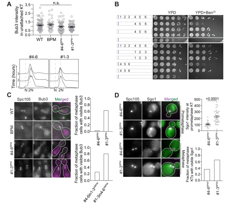 Figure 2—figure supplement 3.