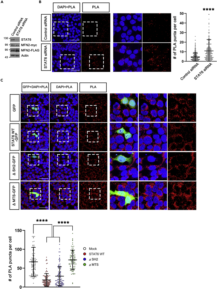 Figure 4