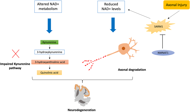 Figure 4