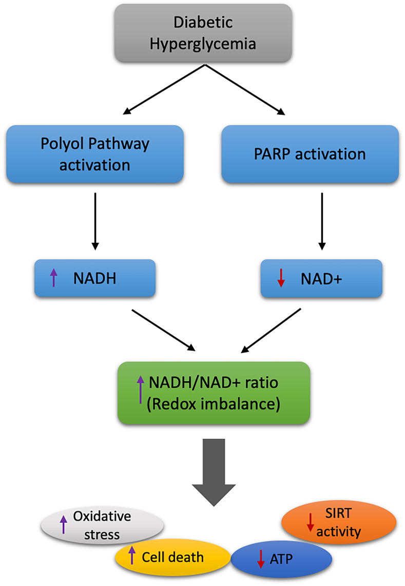 Figure 5