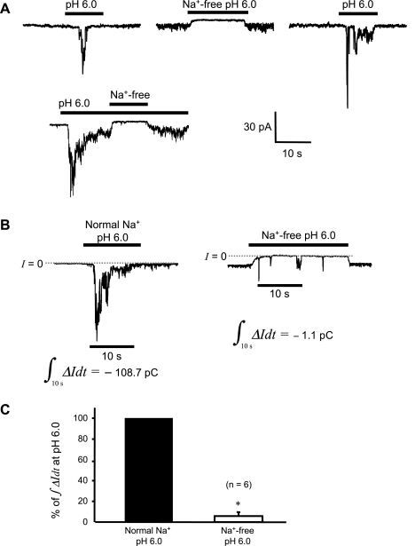 Fig. 7.