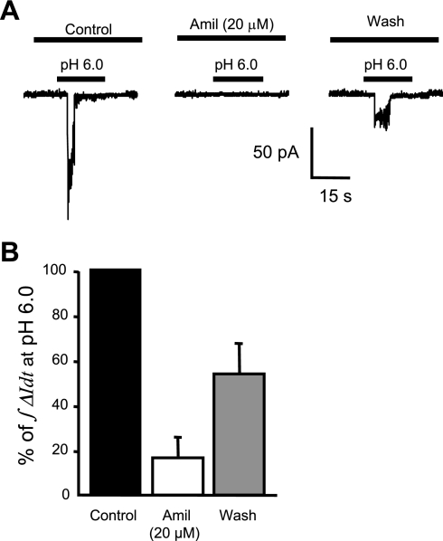 Fig. 8.