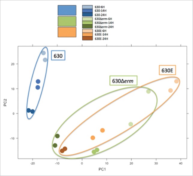 Figure 6.