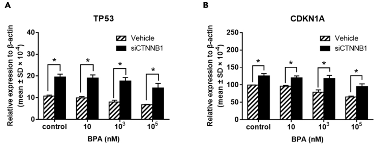 Figure 11