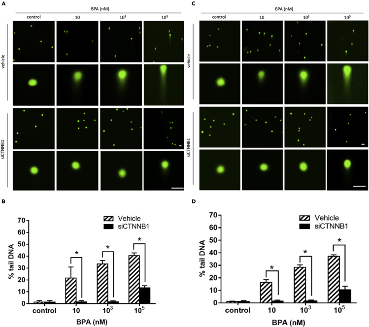 Figure 10