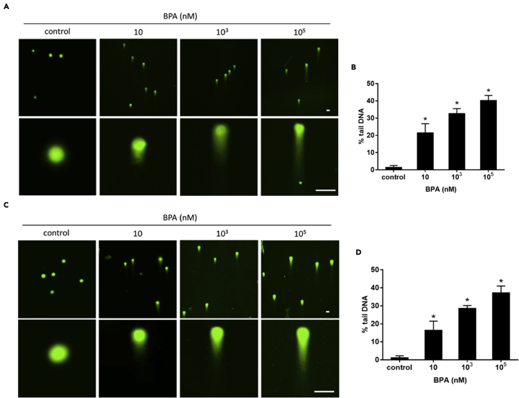 Figure 6