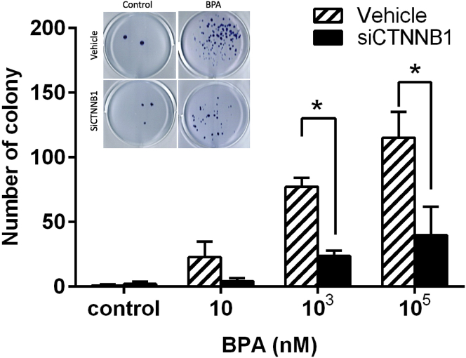 Figure 12