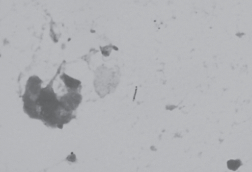 Figure 3)