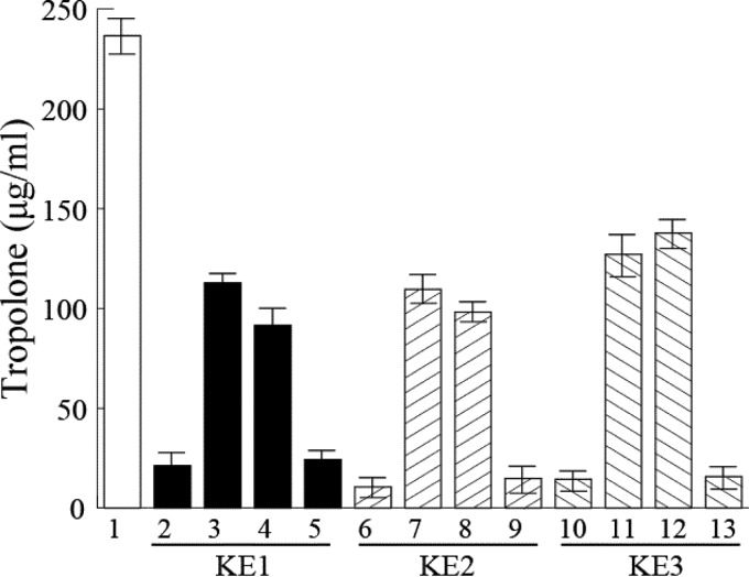 FIG 4