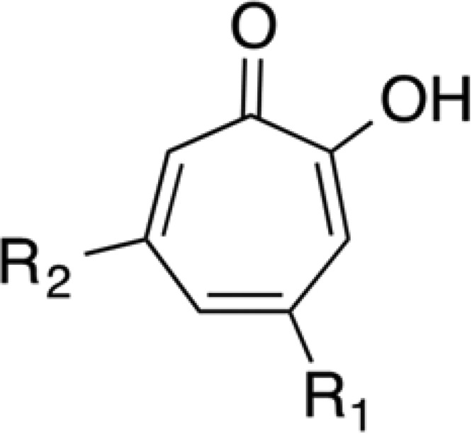 FIG 1