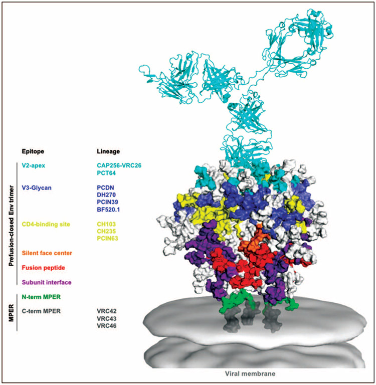 FIGURE 1.