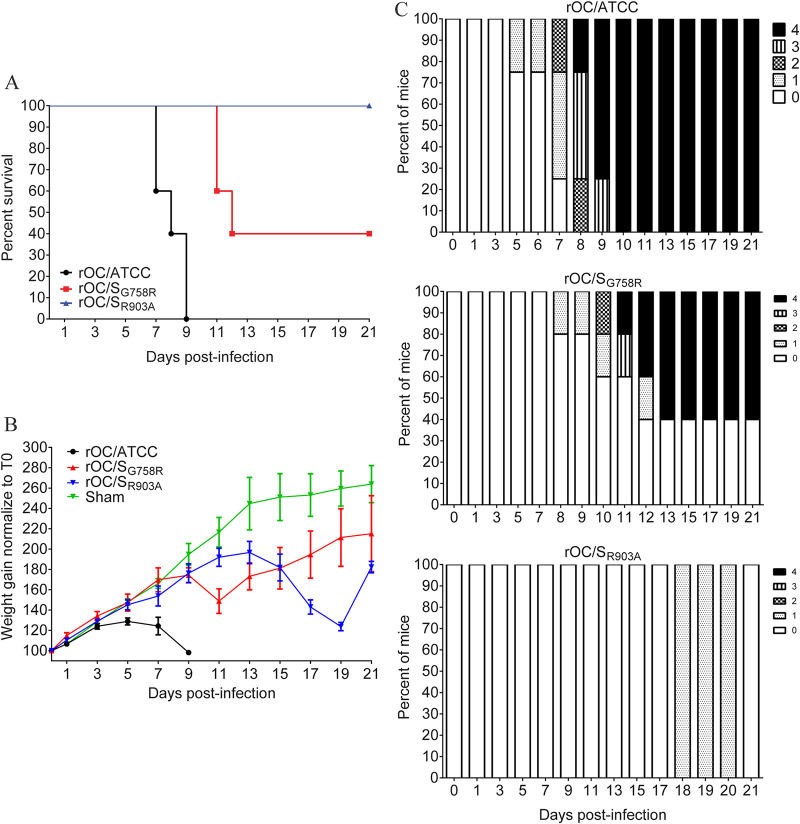 FIG 11