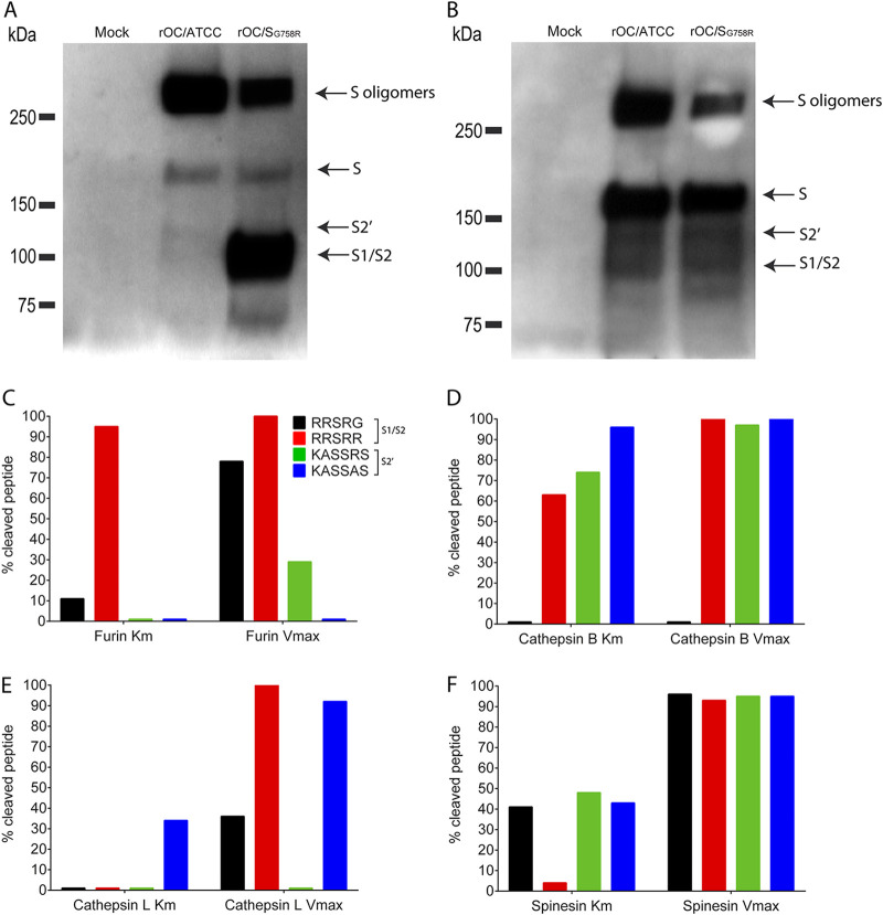 FIG 3