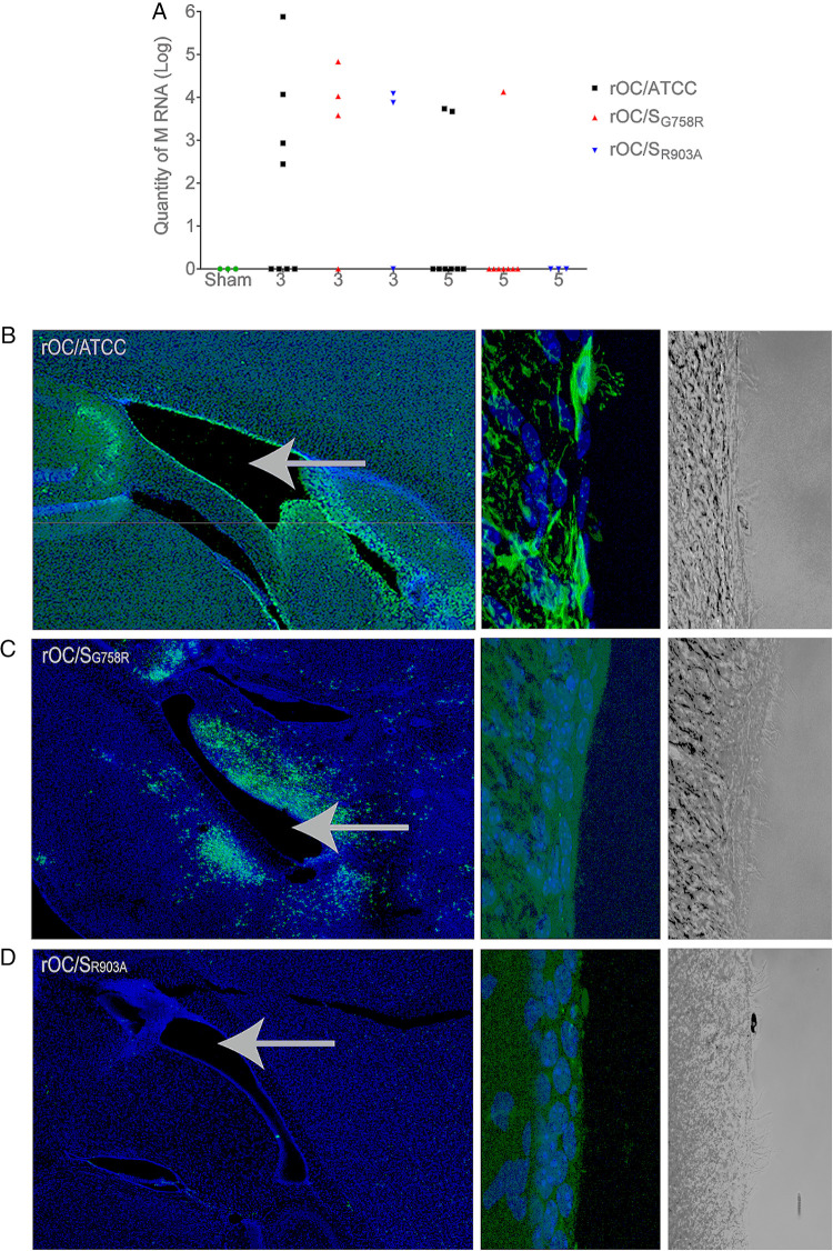 FIG 10