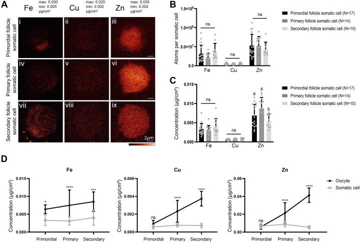 Figure 3