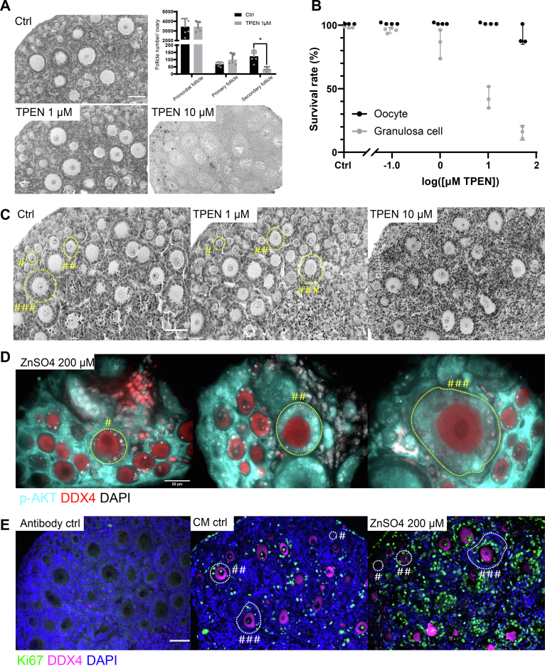 Figure 6