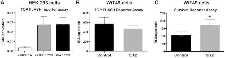 Figure 7