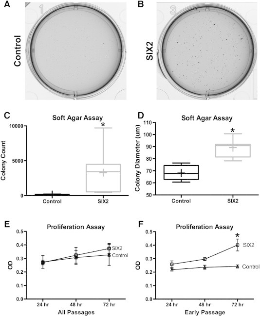 Figure 6