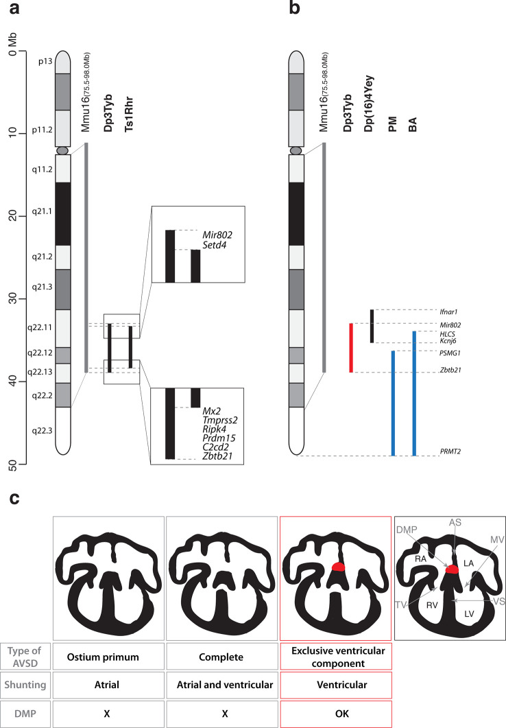 Figure 6.