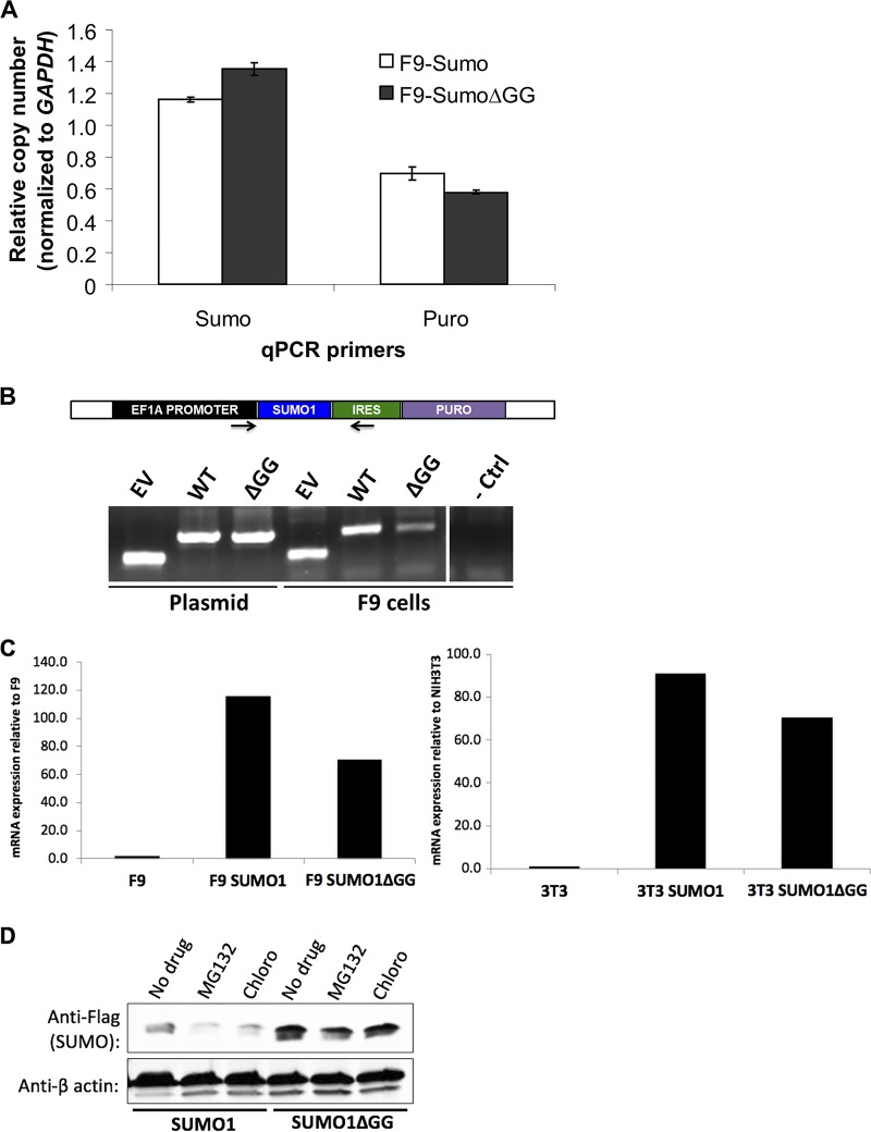 FIG 2