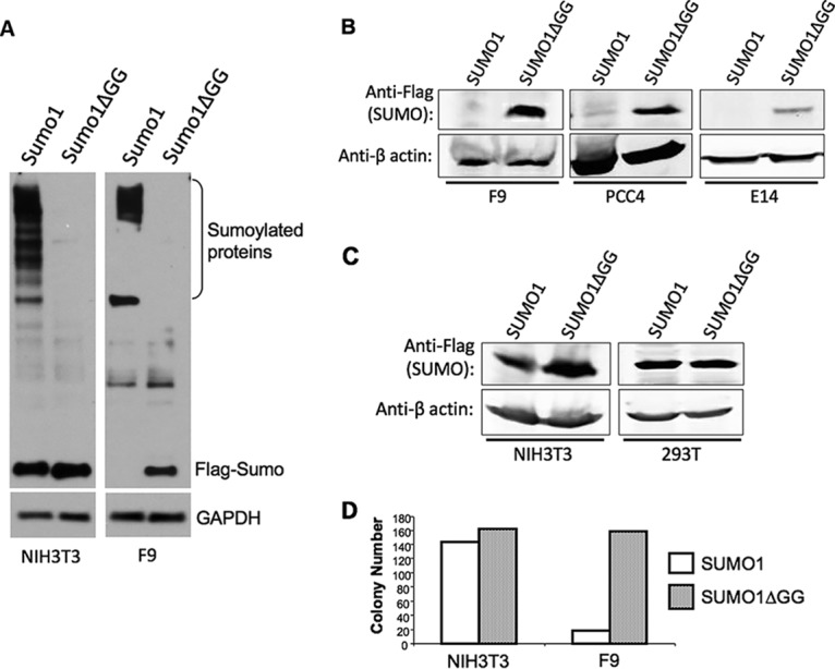 FIG 1