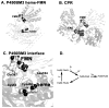 Figure 20