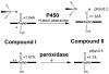 Figure 40