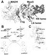 Figure 46