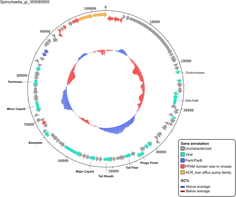 Figure 3—figure supplement 1.