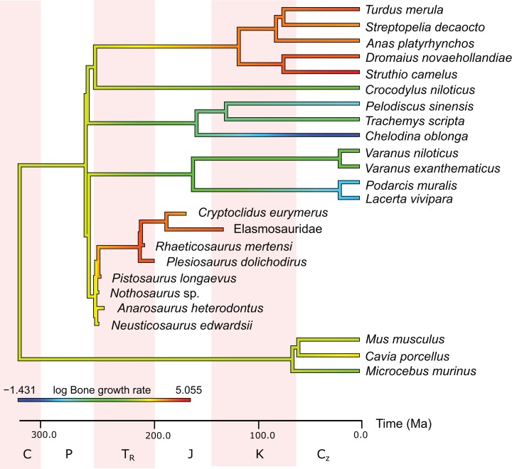 Figure 6